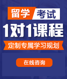 又大又爽大鸡把爆操视频留学考试一对一精品课